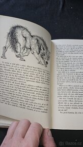 Kniha České pohádky - 7