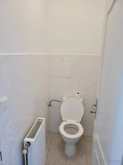 Pronájem slunného bytu 1+1 přímo od majitele, bez provize RK - 7
