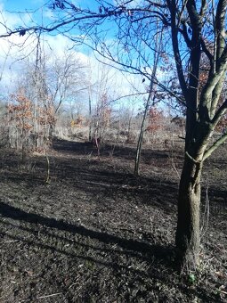 Olomouc řepčín zahrádka 455 m2 - 7