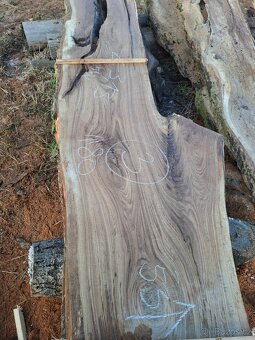 Atypicke fošny Dub - 7