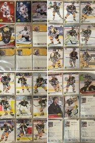 Hokejové karty - HC Litvínov - 7