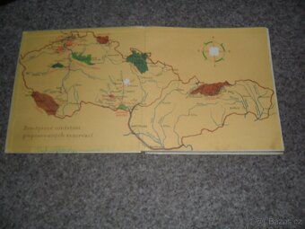 Herbář Krakonošův, Příroda v ČSSR, Ráj zvířat, Naše houby - 7