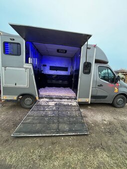 Renault Master - Přepavník na koně - 7