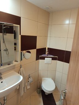 Pronajmu byt polsko ( blisko cz )( pro jednou osobu) - 7