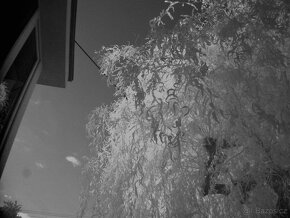Olympus FE-310 ir - 7