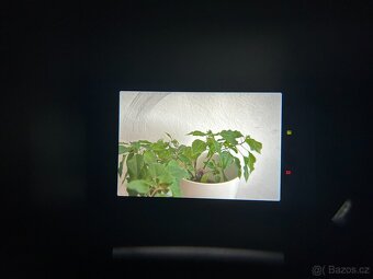 Canon AE-1 Program + Canon FD 50mm f/1.8 S.C. - prodáno - 7