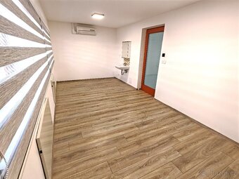 Prodej bytu 5+kk 250 m² Brno Sever Ivanovice - Česká - 7