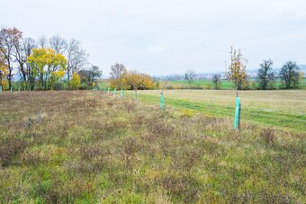 Zahrada, pozemek, Bělkovice-Lašťany 1900m2 - 7