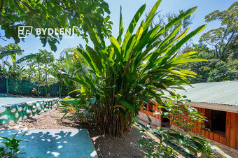 Prodej apartmánů La Lucha, Kostarika - 7