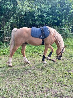 valach v květnu 4 roky - 7