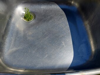 Kuchyňský dřez český NORMA nerez 41x41 - 7