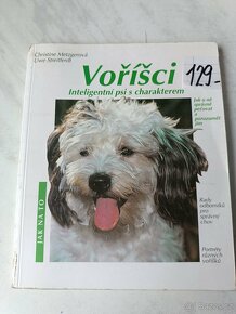 Afghánský chrt pudl westik bišon frise retrivr - 7