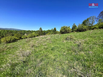 Prodej louky, 21830 m², Malšovice - Hliněná - 7