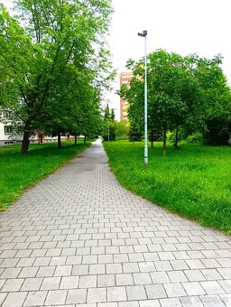Pronájem bytu 1+kk 27 m² Okružní, Český Těšín - 7