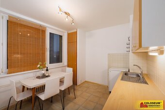 Brno - Královo Pole, byt OV 1+1, sklepní kóje, lodžie, inves - 7