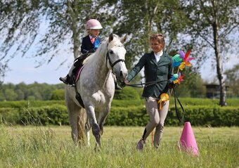 Nádherný valach na všechno:-) - 7