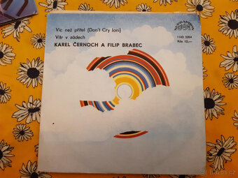 SP deska ružné druhy výběr dle foto 2 - 7