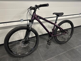 Dirt kolo Kellys whip 10 purple - 7