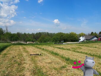 Prodej pozemku 2 653 m2 určeného pro výstavbu rodinného domu - 7