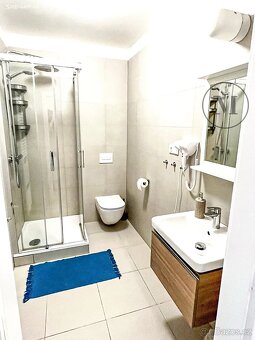 Pronájem bytu 2+kk - 7