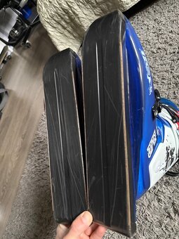 Sled dogs K9.02 rabid - 7