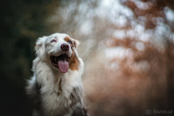 Meopta Meostigmat 50/1 SonyE - 7