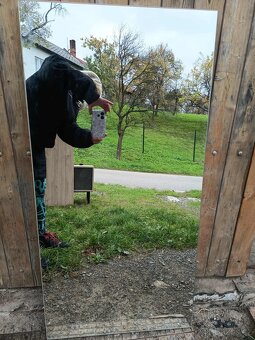 Předsíňová stěna - 7