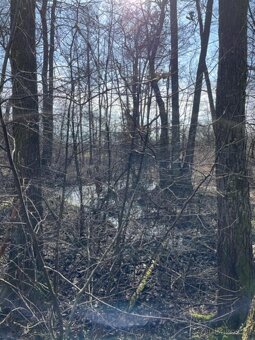 Prodám pozemky v k.ú. Starý Ples - 7