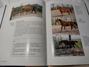 Odborná literatura o koních, jezdectví - Trénink koně - 7