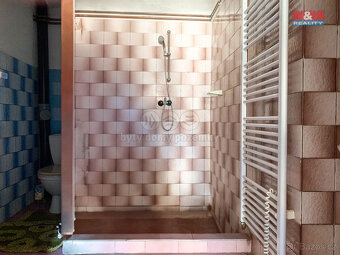 Prodej rodinného domu, 120 m², Malý Bor - 7