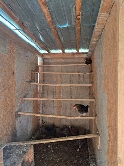 Chovatelské zařízení - 7