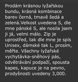 Lyžařská bunda Alpine Pro - 7