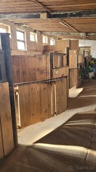 Ustájení Praha-západ - 7