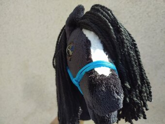 Hobby horse - 7