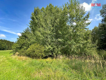 Prodej lesa, 4708 m², Kamenice nad Lipou - 7