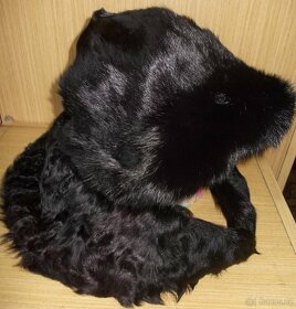 BOTY-NAZOUVÁKY-VŠECH TYPŮ.+ SPOLEČ. STŘEVÍČKY - 7