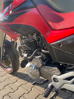 HONDA FMX 650 - 7
