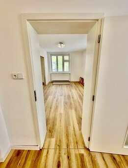 Pronájem bytu 4+kk, centrum Vyškova, byt se zahradou, teraso - 7
