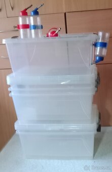 Chovatelske boxy - 7