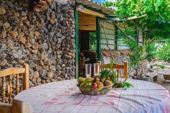Rustikální farma s vinicí a ovocnými sady na prodej v Guía d - 7