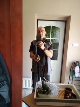Papoušek žlutotemenný a senegalský - 7