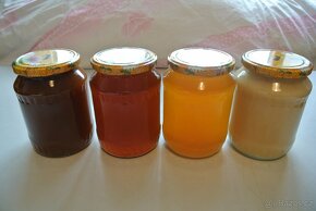 Včelí med květový a pastový. - 7