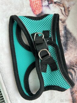 Postroje pro kočku/psa - 7