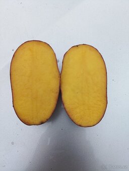 Brambory na uskladnění - 7