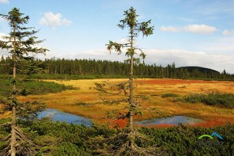 APARTMÁN V KRKONOŠÍCH /4os. - 7