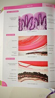 Memorix Histologie - autor Jan Balko a kolektiv - 7