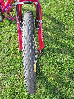 Superior Paint 20"- PĚKNÉ - 7