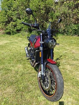 Benelli Leoncino 500 trail - 35kw - 7