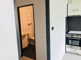 Pronájem bytu 2kk - 7