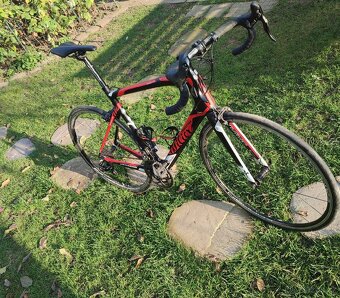 Wilier GTR team Campagnolo Athena - 7